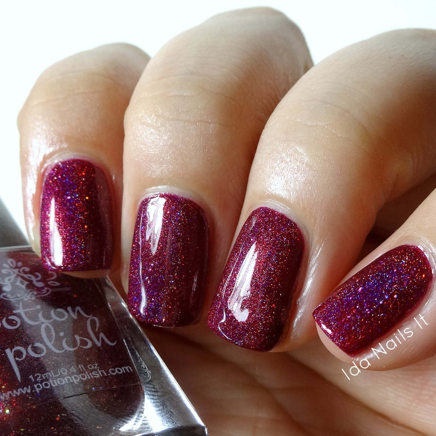 Ida Nails It: Potion Polish Christmas 2016 Collection: Swatches and Review