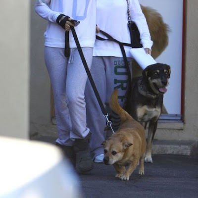 Selena Gomez y su perro. Perrita Fina, encontrada por la madre de Selena en su estacionamiento.