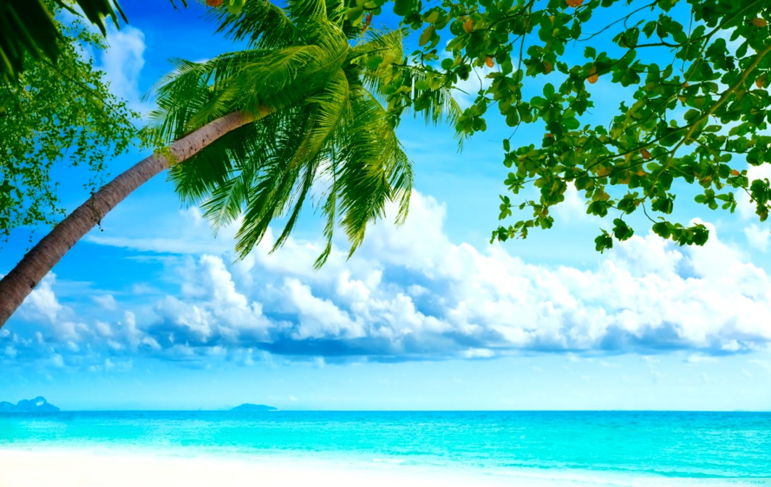 Beach Wallpaper Desktop Widescreen Wallpapers Simple