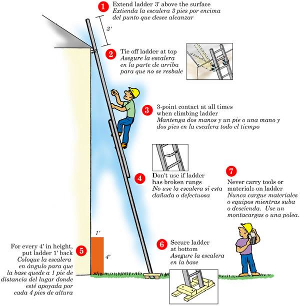 HSE Insider Ladder Safety