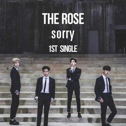 The Rose Sorry Easy Lyrics Eng Lirik Lagu Korea