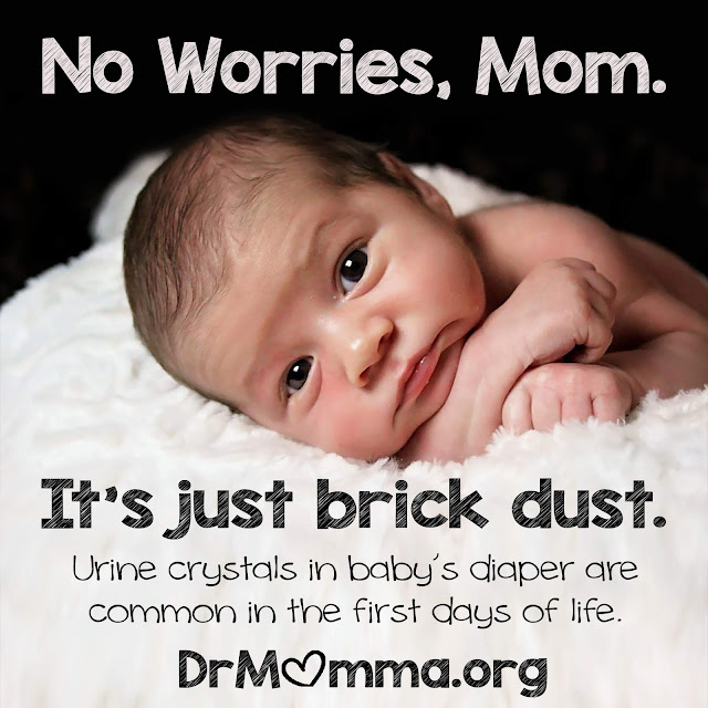 peaceful parenting Brick Dust Urine Crystals in Baby's Diaper