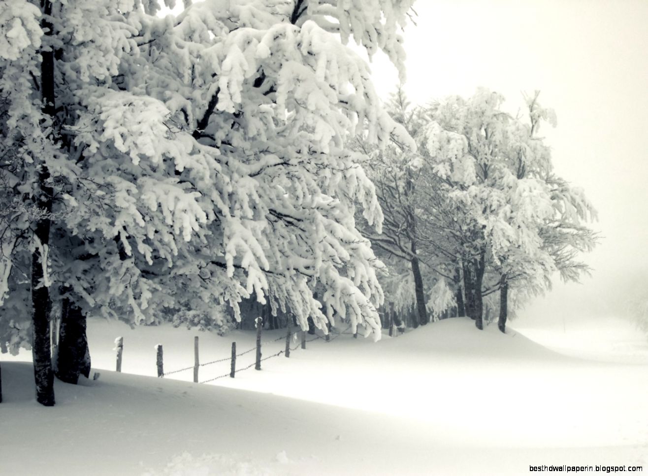 Snowy Landscape HD desktop wallpaper  High Definition