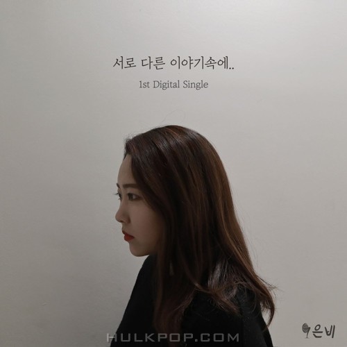 Go Eun Bi – 서로 다른 이야기 속에.. – Single