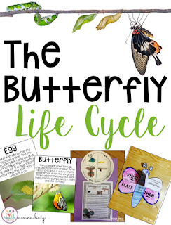 Fun activities and crafts to learn about the butterfly life cycle. Two projects, posters, and sequence printables. Freebie included