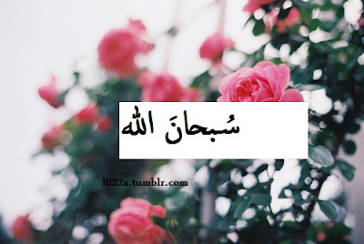 tumblr_mukbdeHn181rhyq39o1_500