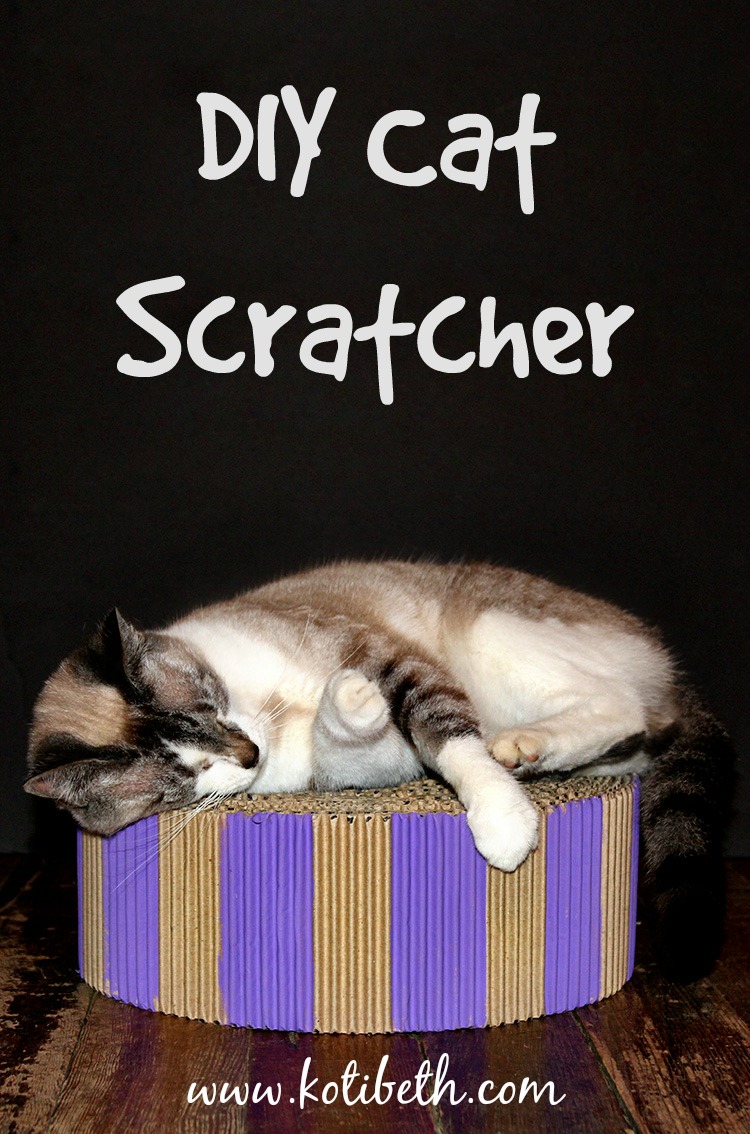 DIY Cat Scratcher or Bed Koti Beth