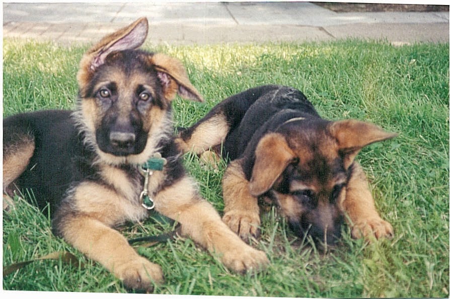 Erde and Leben, just days before their first road trip to Alaska (OTR2)