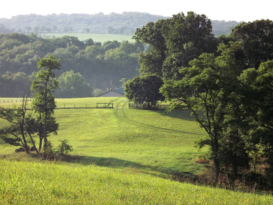 Our Virginia farm: Starry Meadows