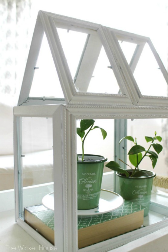 How to make a Terrarium out of Picture Frames