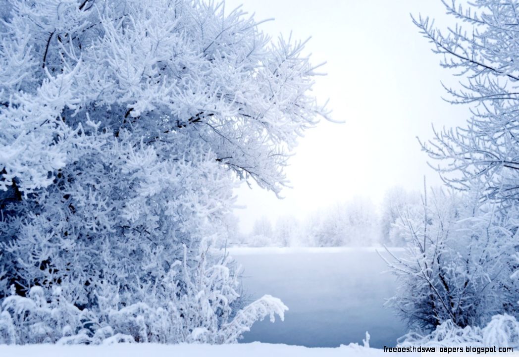 Winter Snow Background HD desktop wallpaper  Widescreen  High