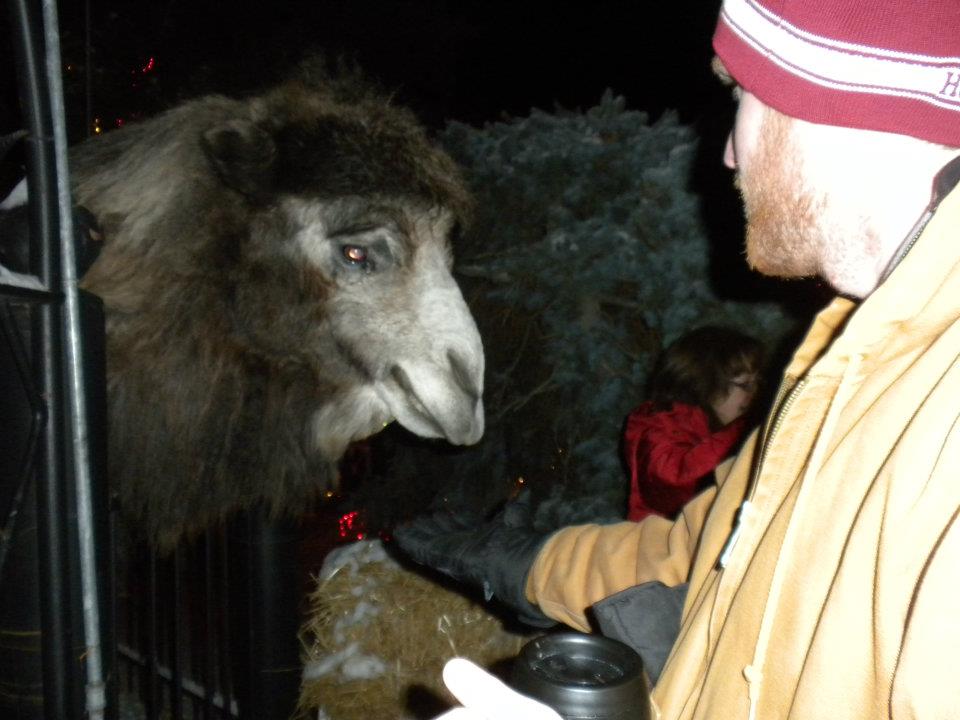 Rock Creek Christmas Light Show Hansen, Idaho