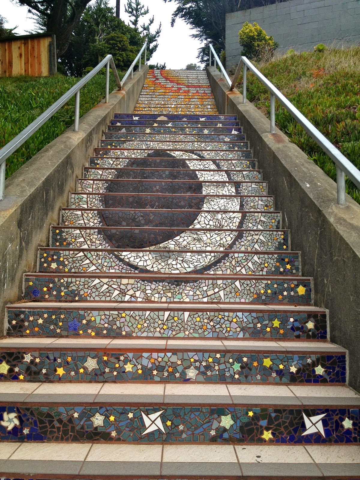 Thayer and Back Again Golden Gate Park