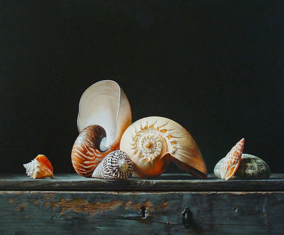 ракушки морские. натюрморт раковины. роман рейзингер картины. натюрморт уильяма тальбота ракушки. натюрморты лариса радевич художник.