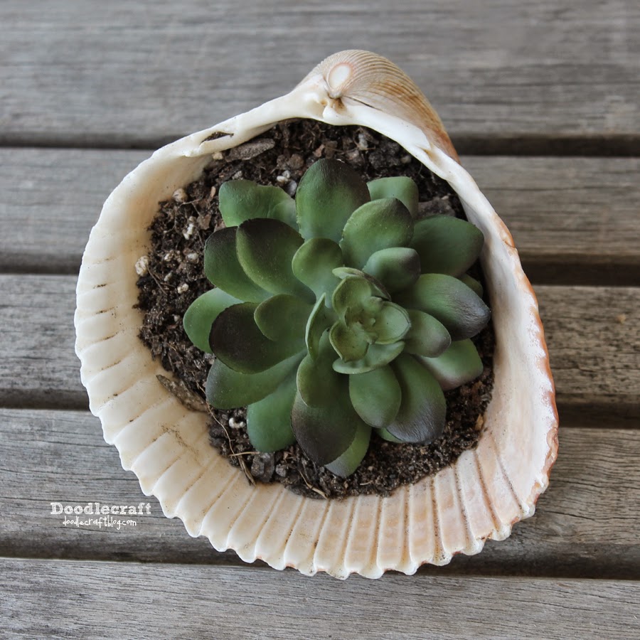 Make a clay succulent pot with Sculpd - Seasalt Stories