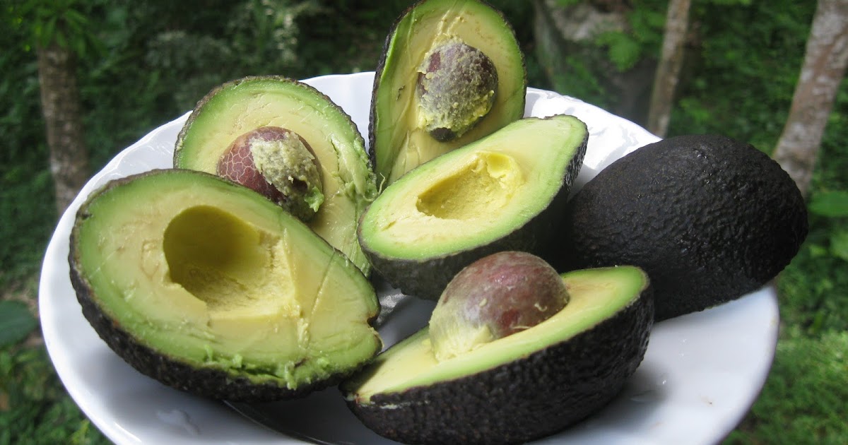 авокадо гиф. авокадо роды. авокадо в разрезе. фото настоящего авокадо. авокадо роды.
