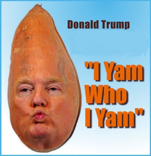 https://3.bp.blogspot.com/-B7NdpMqAaYw/WII7Ae9cAiI/AAAAAAABB-g/Bxl_MIa9r4ggLKASJMc7WYOAH2H3ciNzACLcB/s1600/DonaldTrump-TalkingYam.JPG