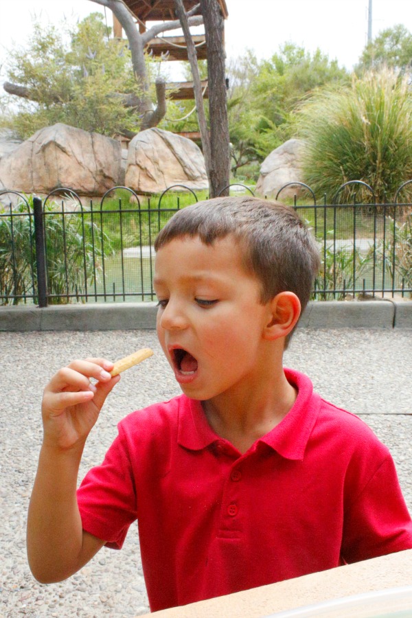 How to Pack Snacks for a Zoo Trip Jordan's Easy Entertaining