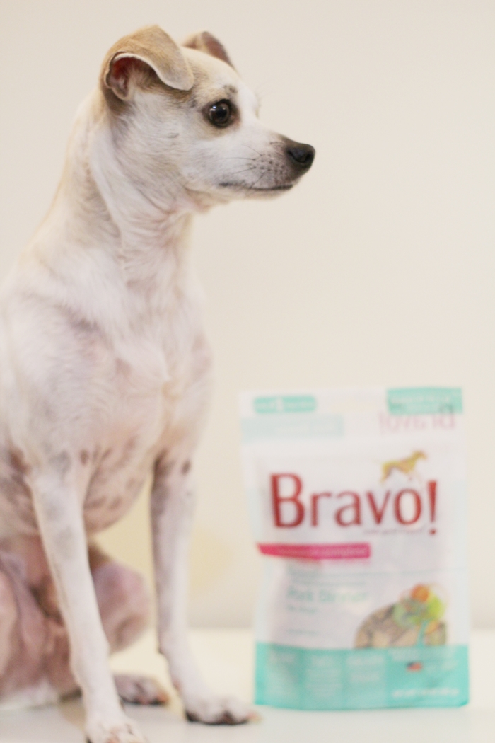 Bravo Raw Dog Food Homestyle Complete Dinners Review