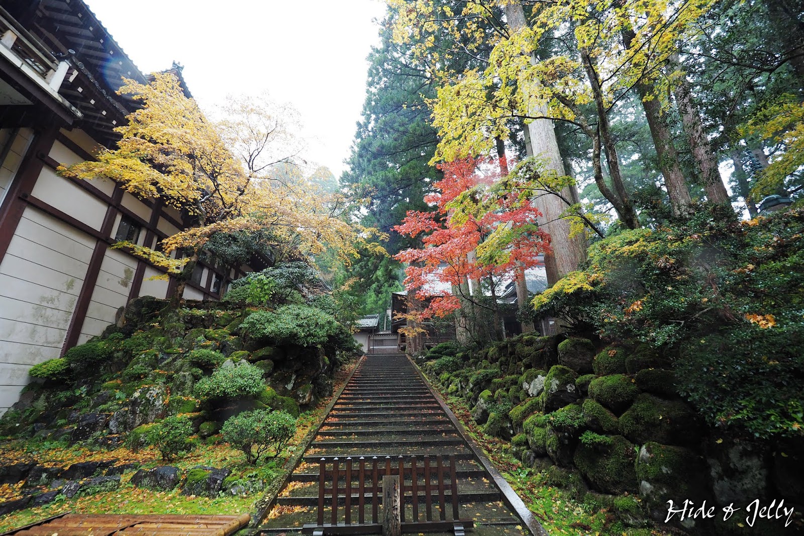 Hide Jelly 17北陸楓葉季day5 福井 古老 莊嚴的曹洞宗大本山 永平寺