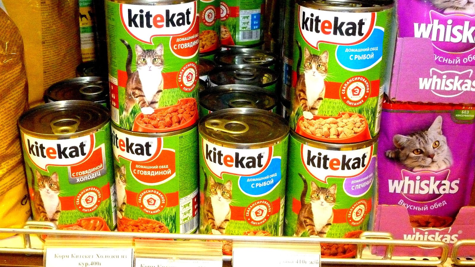 Cat food Cats Food Cat Choices
