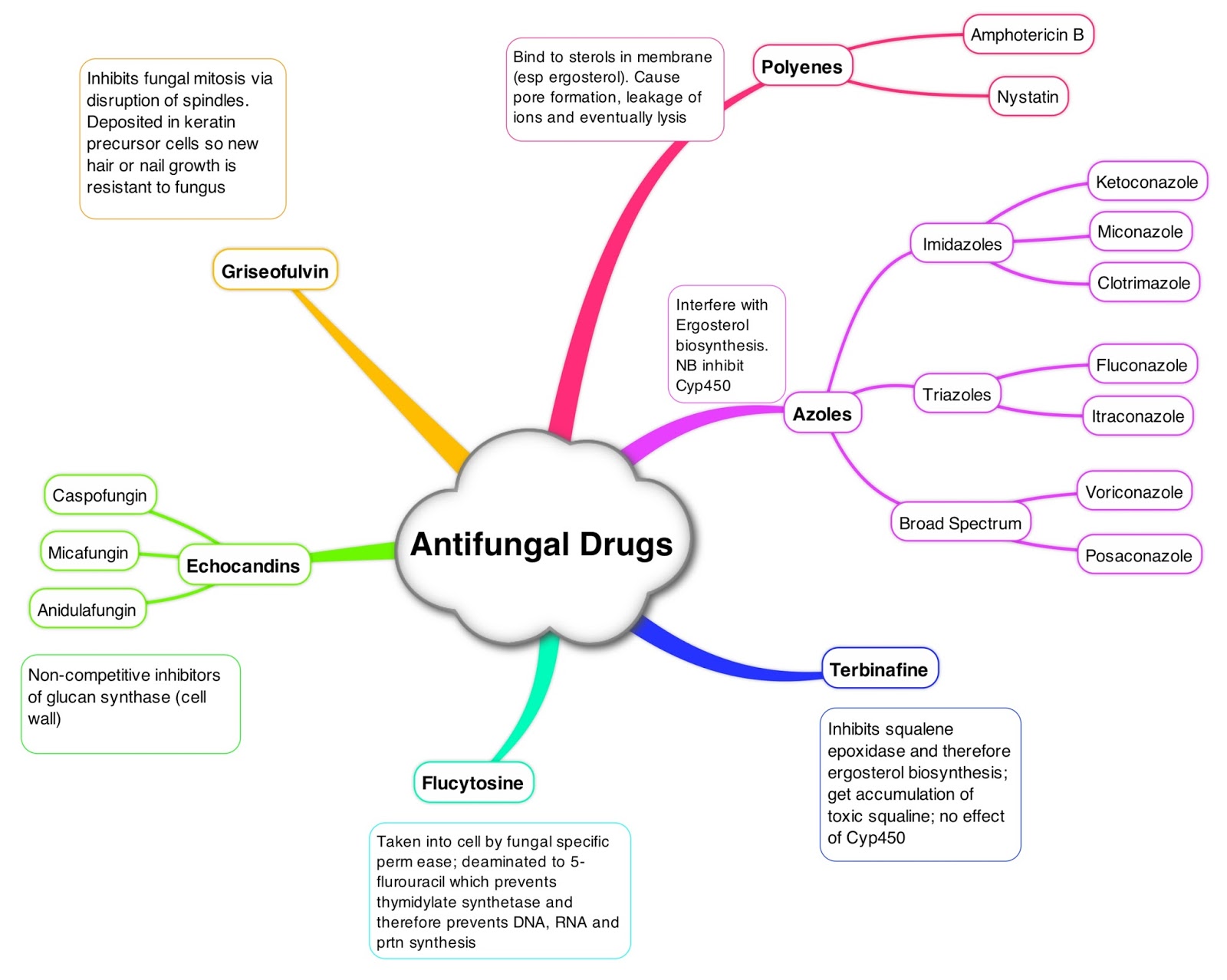 Antibiotics, Antifungal and ANS Drugs Mind maps