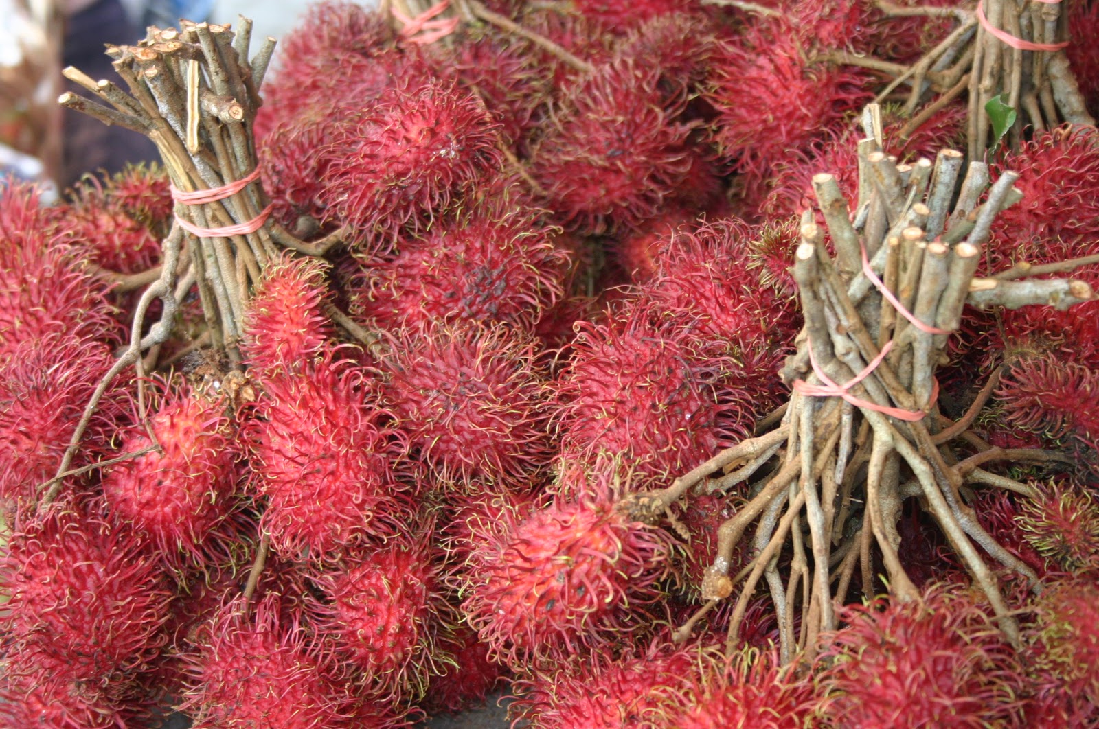 Hope's Sweet Finds Singapore Fruits either you love it or.