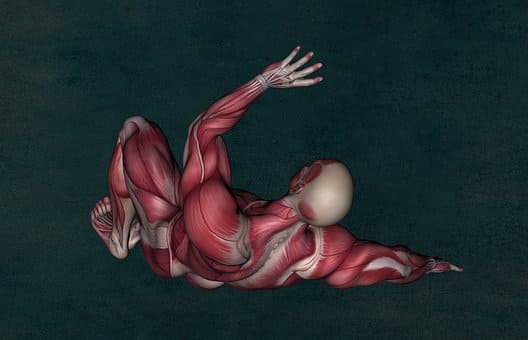 Muscle Pain - Sore Muscles After Workout Muscle Pain - Sore Muscles After Workout