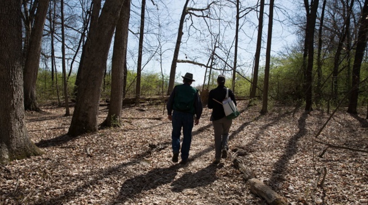 PA Environment Digest Blog Penn State Extension Woodland Stewardship