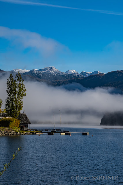 Robert SKREINER - Blog