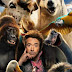 مشاهدة فيلم Dolittle 2020 مترجم مشاهدة فيلم Dolittle 2020 مترجم