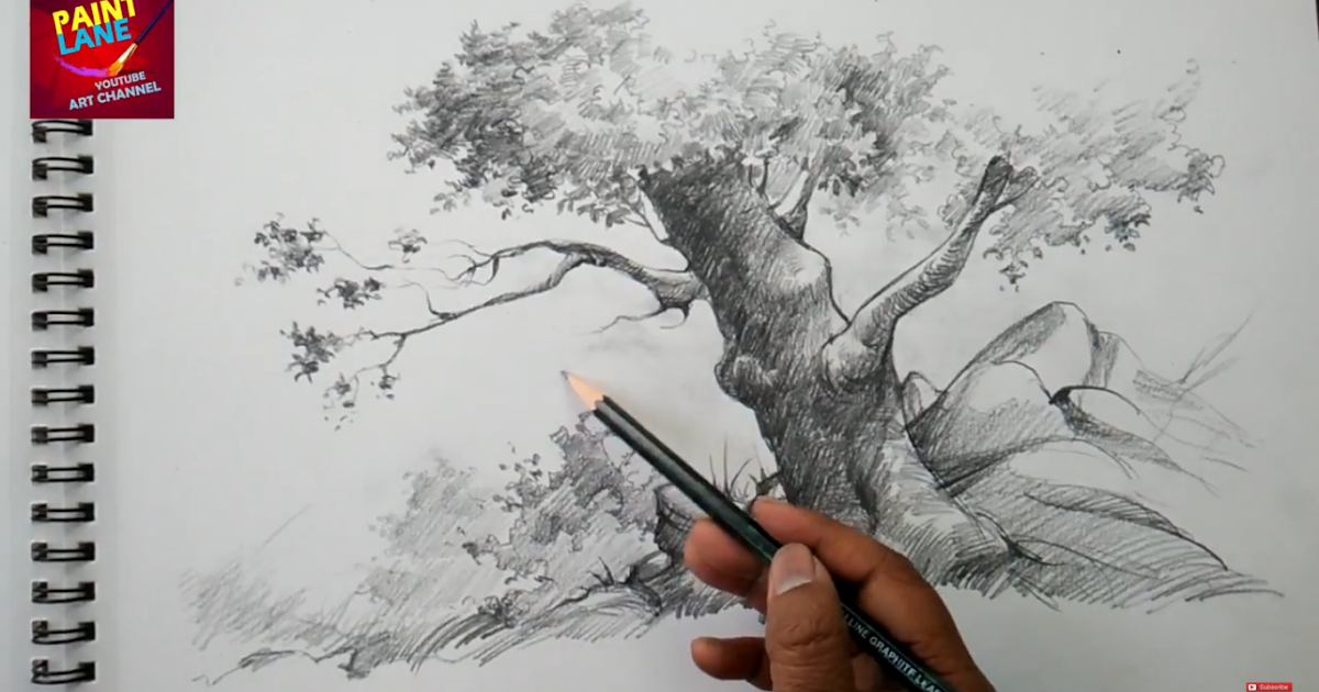 Basic Sketch and Shade A Tree With Pencil by PAINTLANE