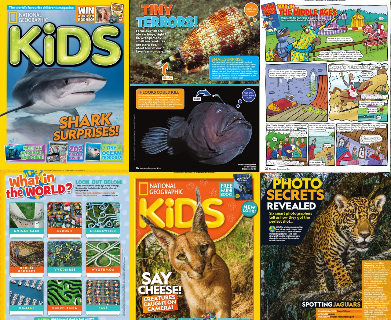 National Geographic Little Kids