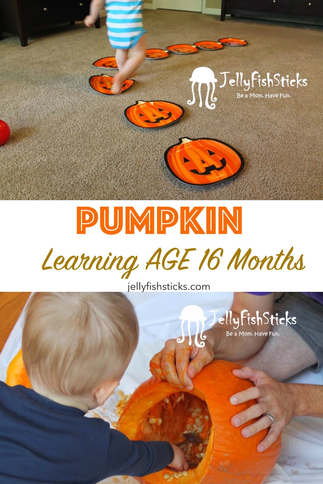 Pumpkin Learning Plan for 16 Month Olds
