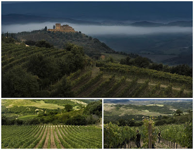 castello di velona montalcino