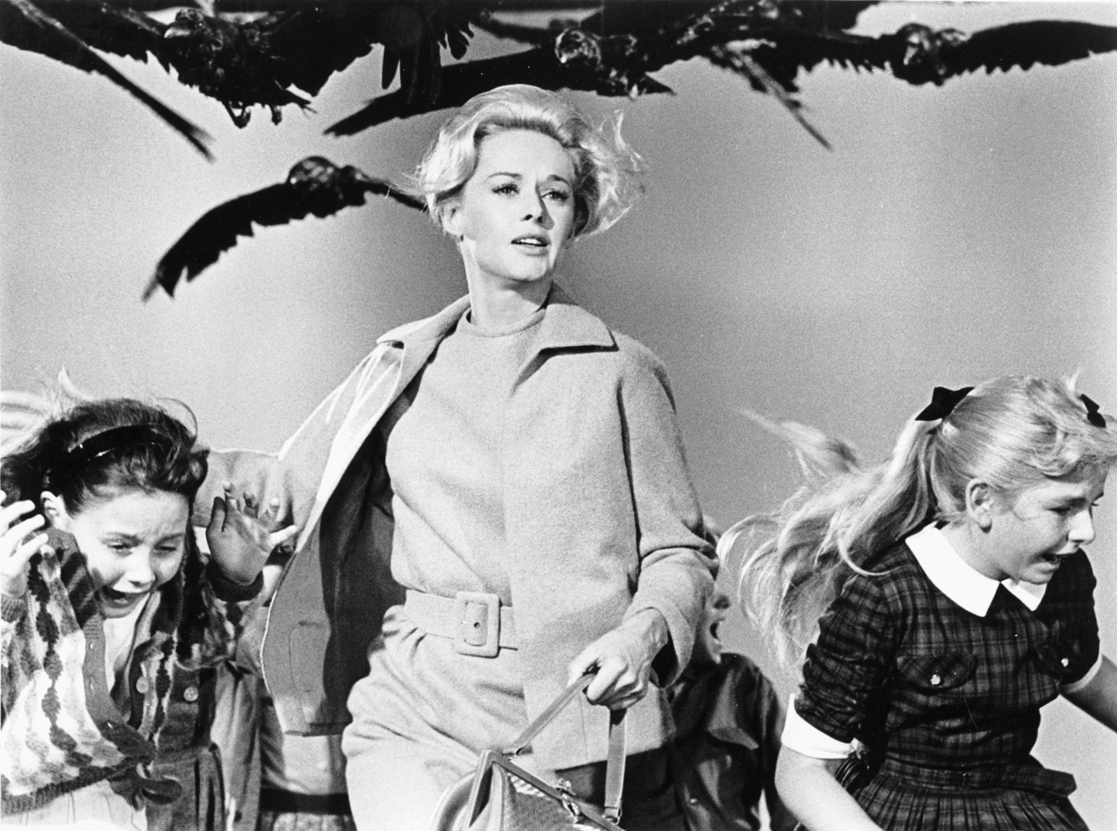 7 curiosidade sobre Os Pássaros, de Alfred Hitchcock | Blog 365 Filmes