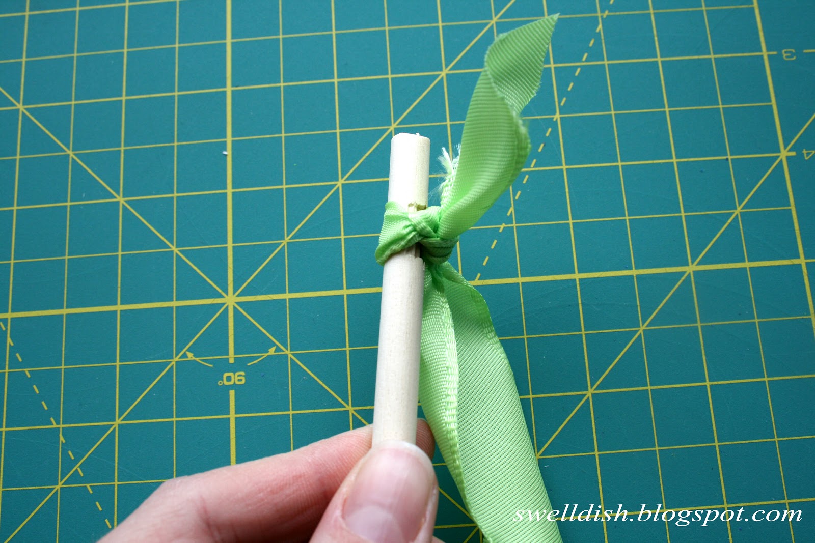 The Swell Dish Resurrection of the Ribbon Stick....Get in Shape Girl!!