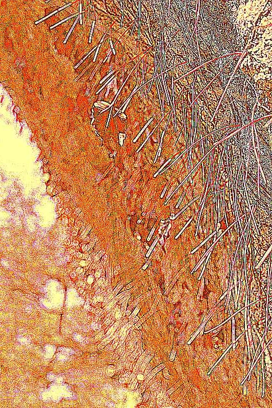 화순 영구산 운주사