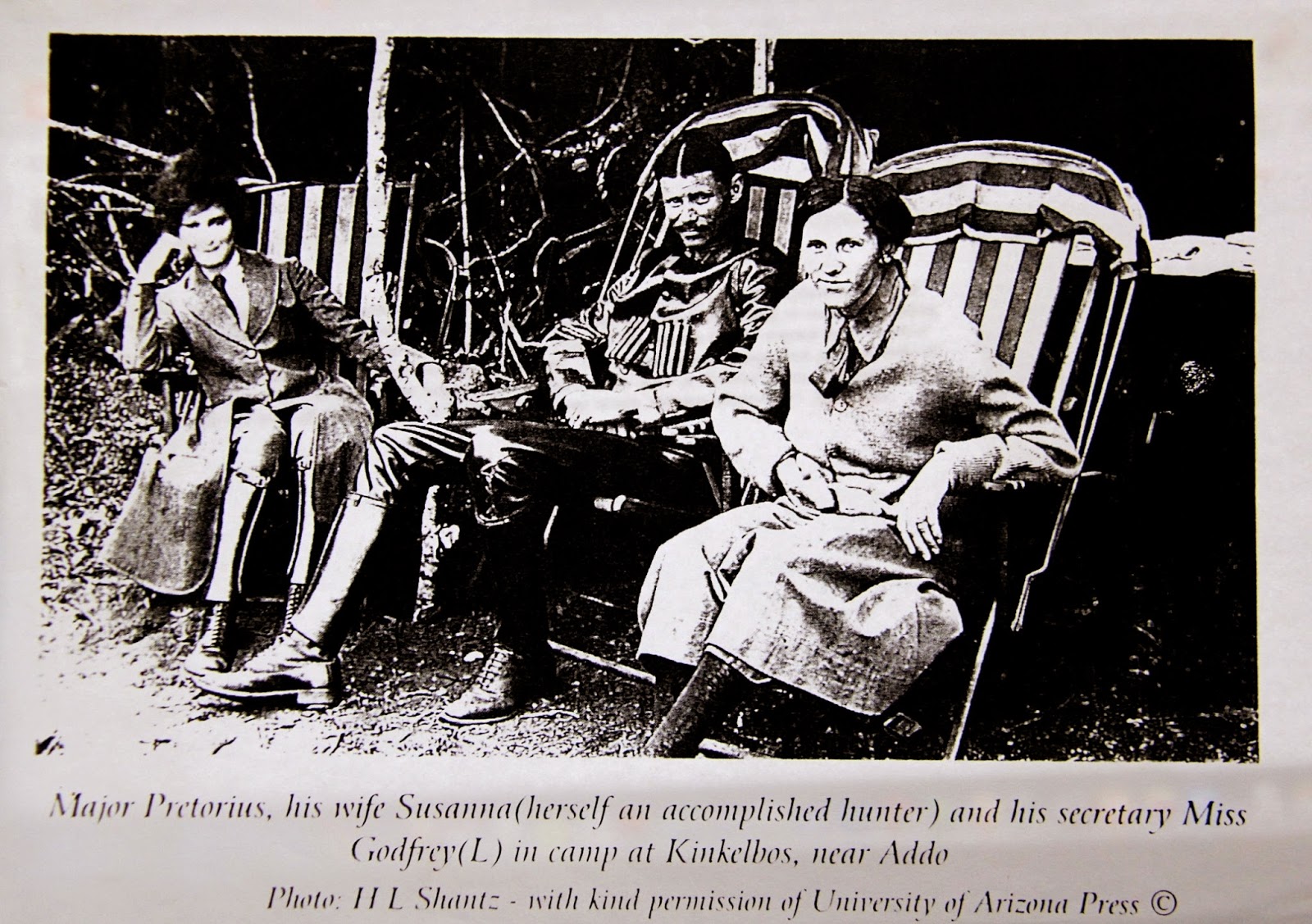 Addo and the Sundays River Valley: Why are many Addo elephants are