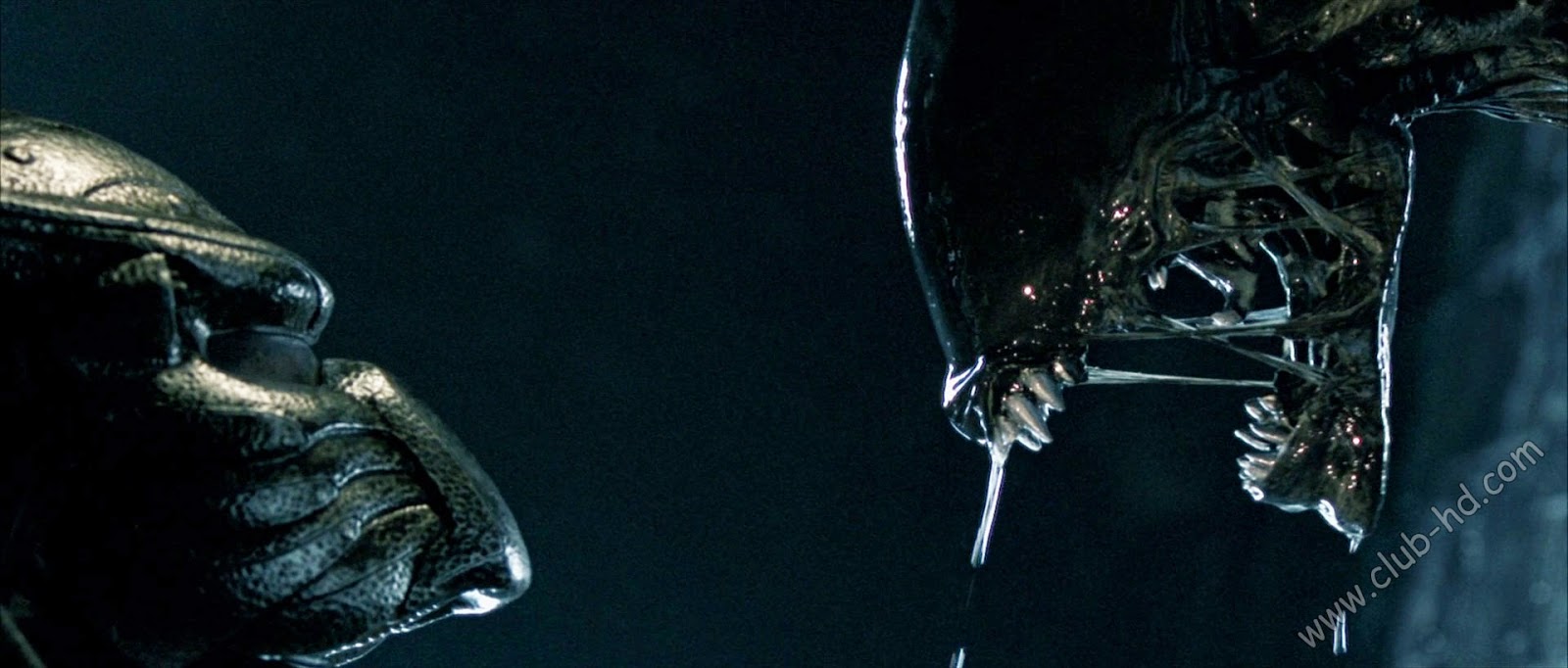 Alien_vs_Predator_UNRATED_CAPTURA-8.jpg