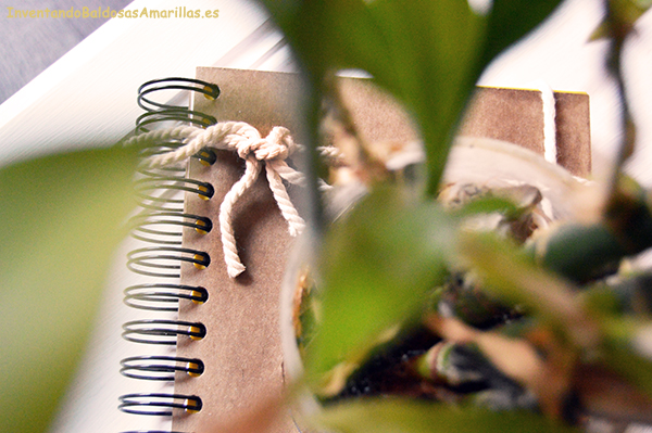 Agenda para colocar macetas