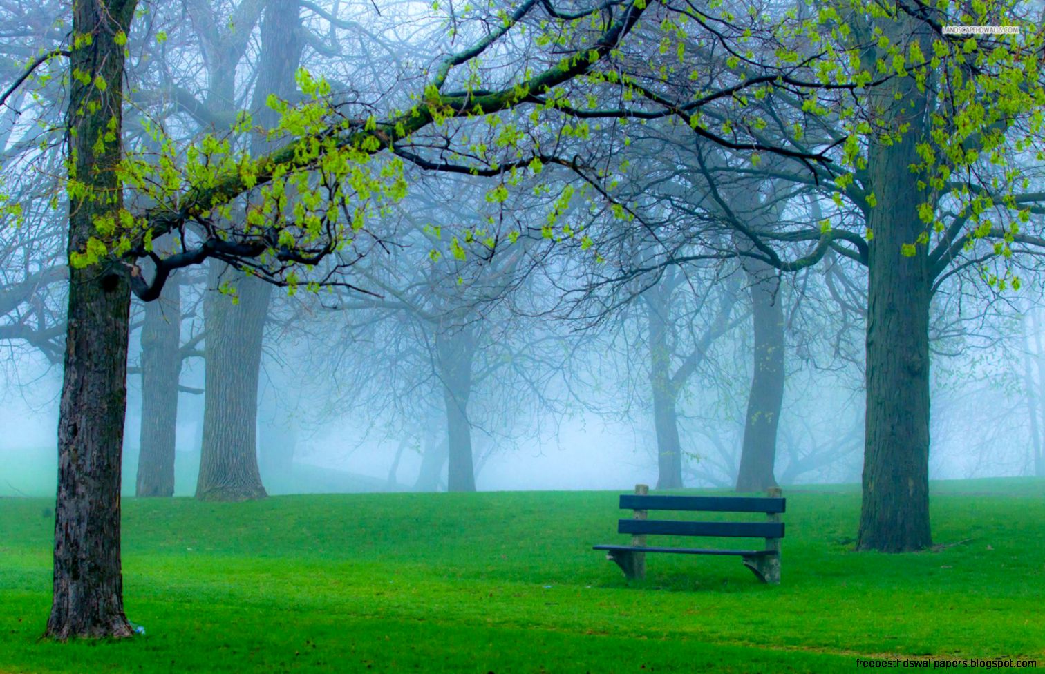 Peaceful place in the park wallpaper 1264