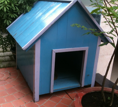 Mẫu nhà cho những chú chó ưa "màu mè" công chúa Mẫu nhà cho những chú chó ưa "màu mè" công chúa