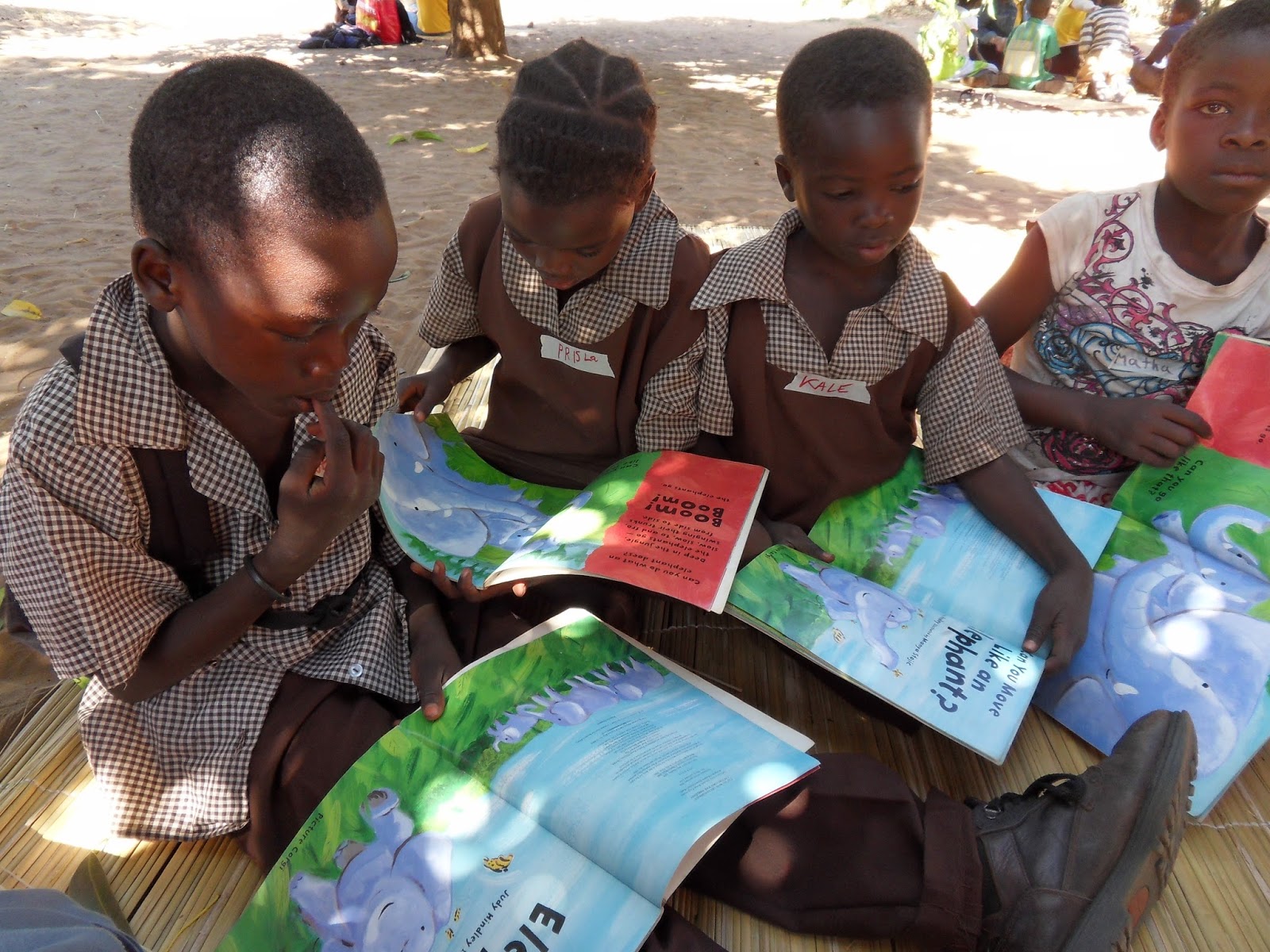 The Book Bus Blog Education In Zambia!