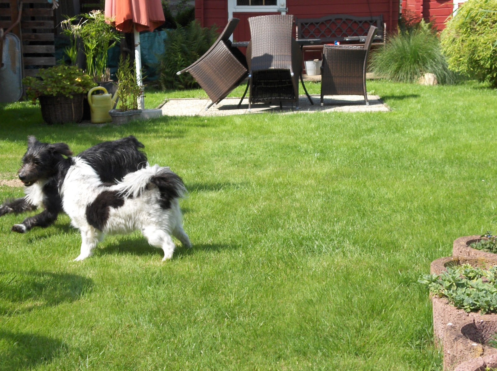 TiS Tagebuch August 2016