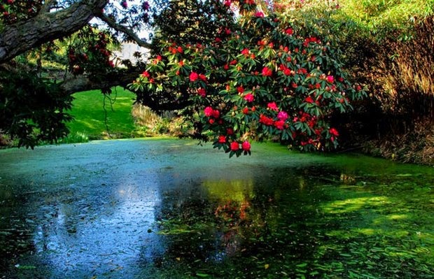 World's most beautiful gardens - Lost Gardens of Heligan, United Kingdom
