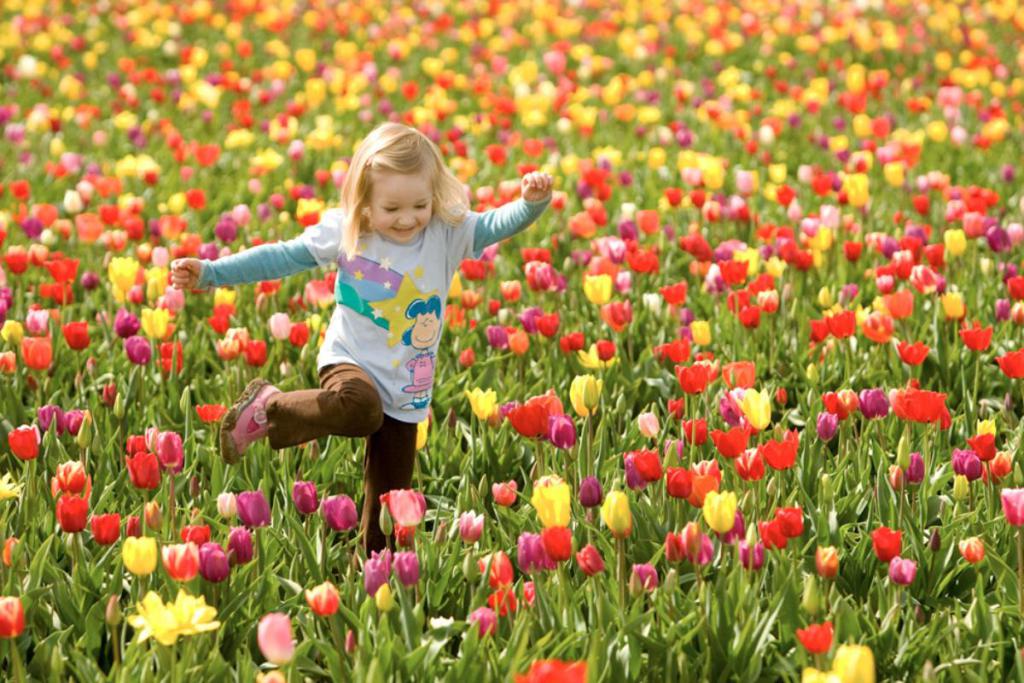 صور الربيع 2020 اجمل الصور والخلفيات عن فصل الربيع يلا صور