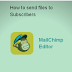 Images: How To Send Files To Your Mailchimp Subscribers
