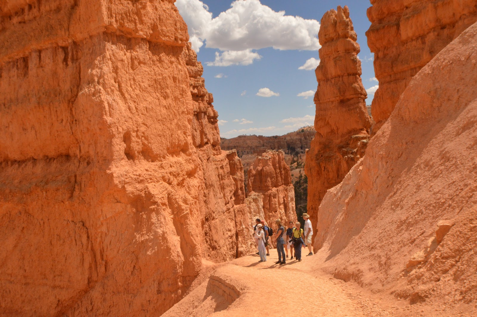 inglorious wanderer: The Hoodoos of Bryce Canyon