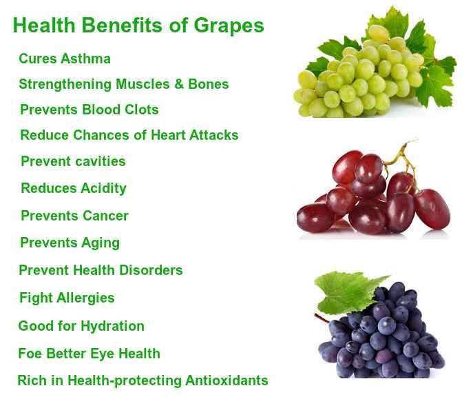 . Health Benefits of Grapes